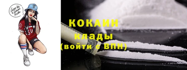 шишки Дедовск