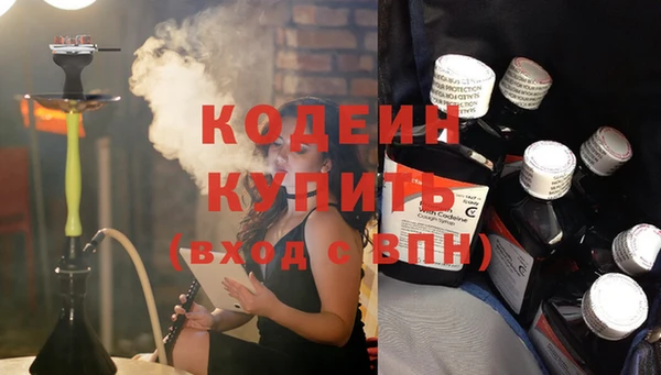 гашик Инсар