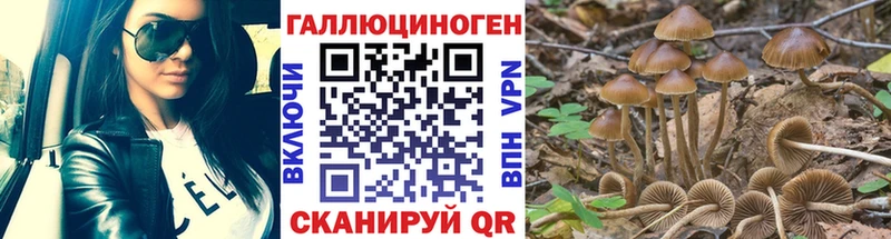 где можно купить наркотик  Кашира  Галлюциногенные грибы ЛСД 