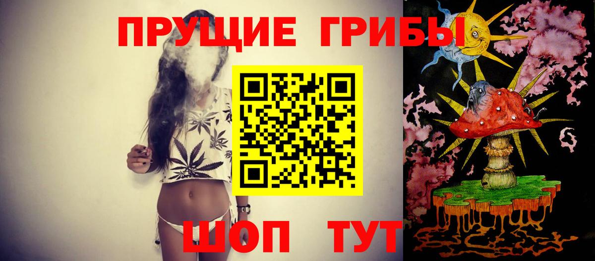 Псилоцибиновые грибы Cubensis Кашира