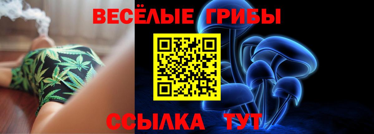 Псилоцибиновые грибы Cubensis  Вход с VPN  Кашира 